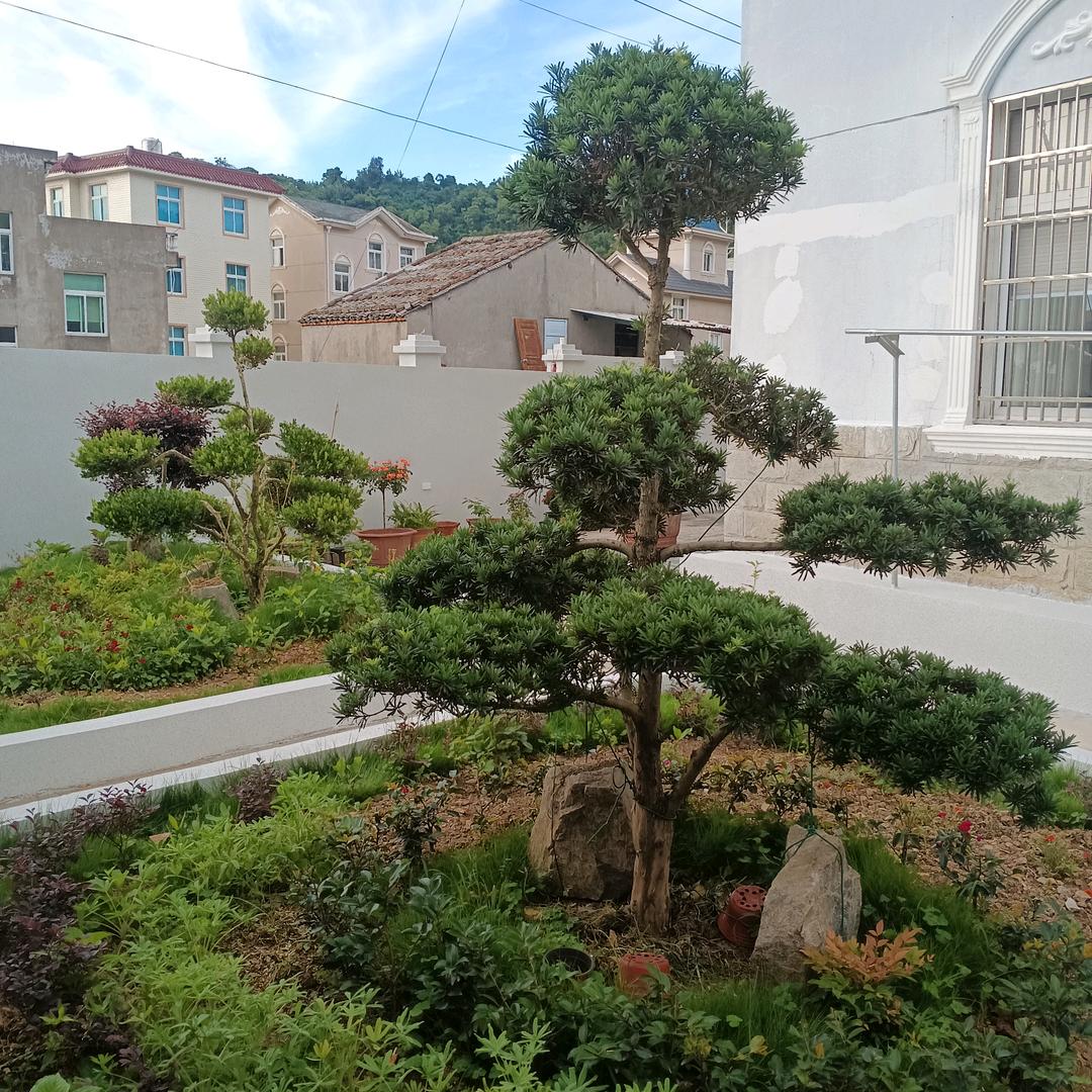 用户哥
