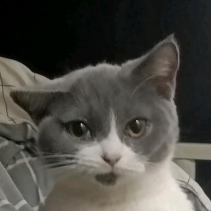 我困的时候不睡觉℡