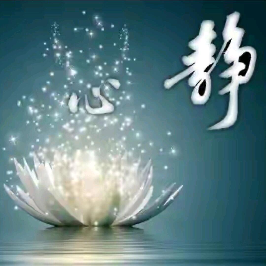 ˗ˋˏ꒰ঌ 暖心向阳 ໒꒱ྀིˎˊ