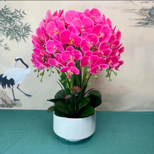 💖《无怨无悔》💖