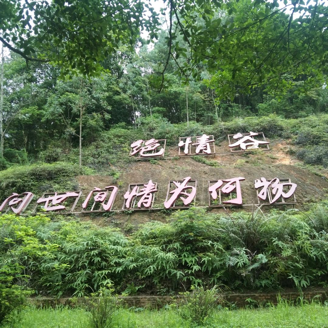 一条心💔💔💔💔