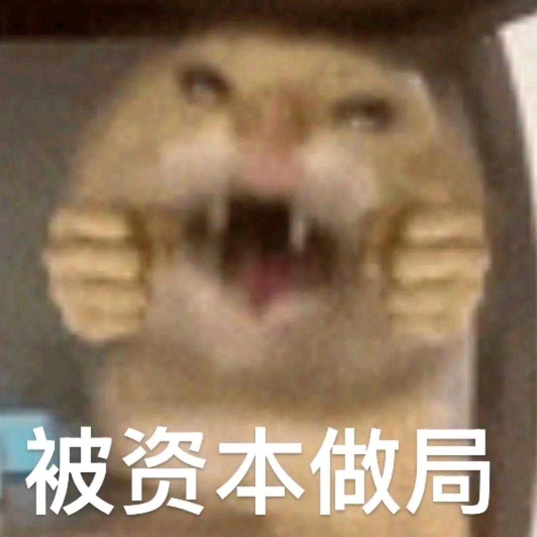 防🐶大队长