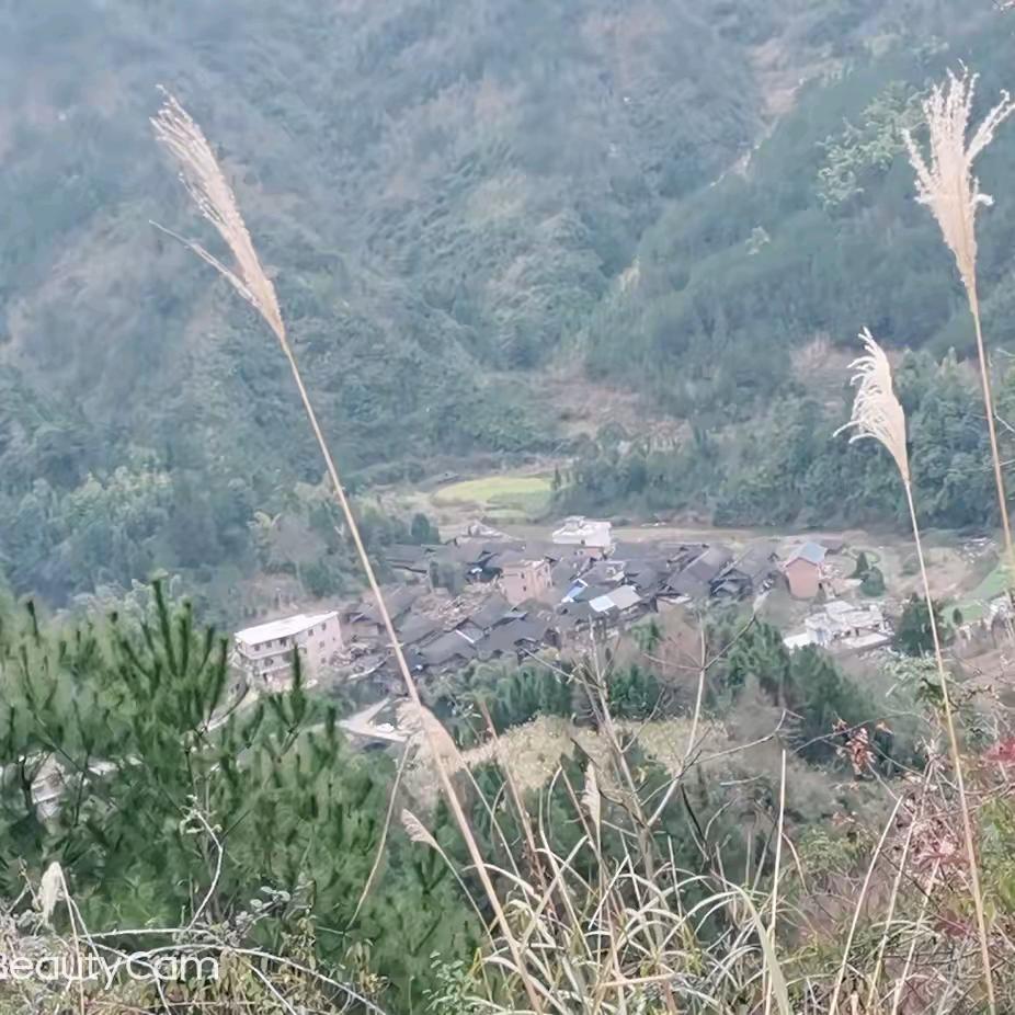 水🌸族妹💐🌹