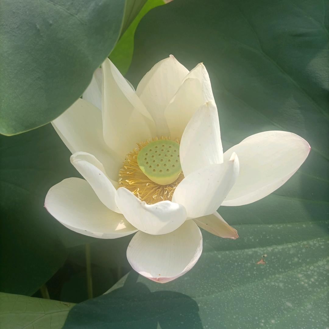 ☀️太阳