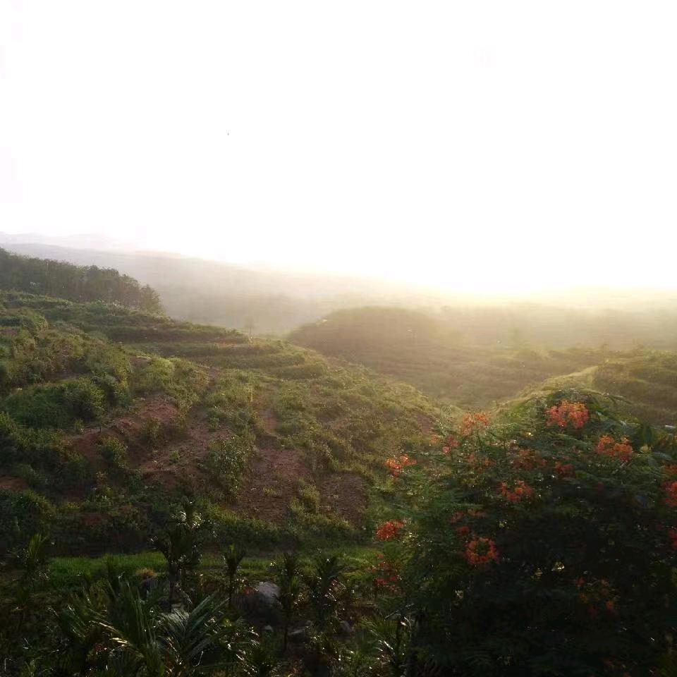 一缕清烟