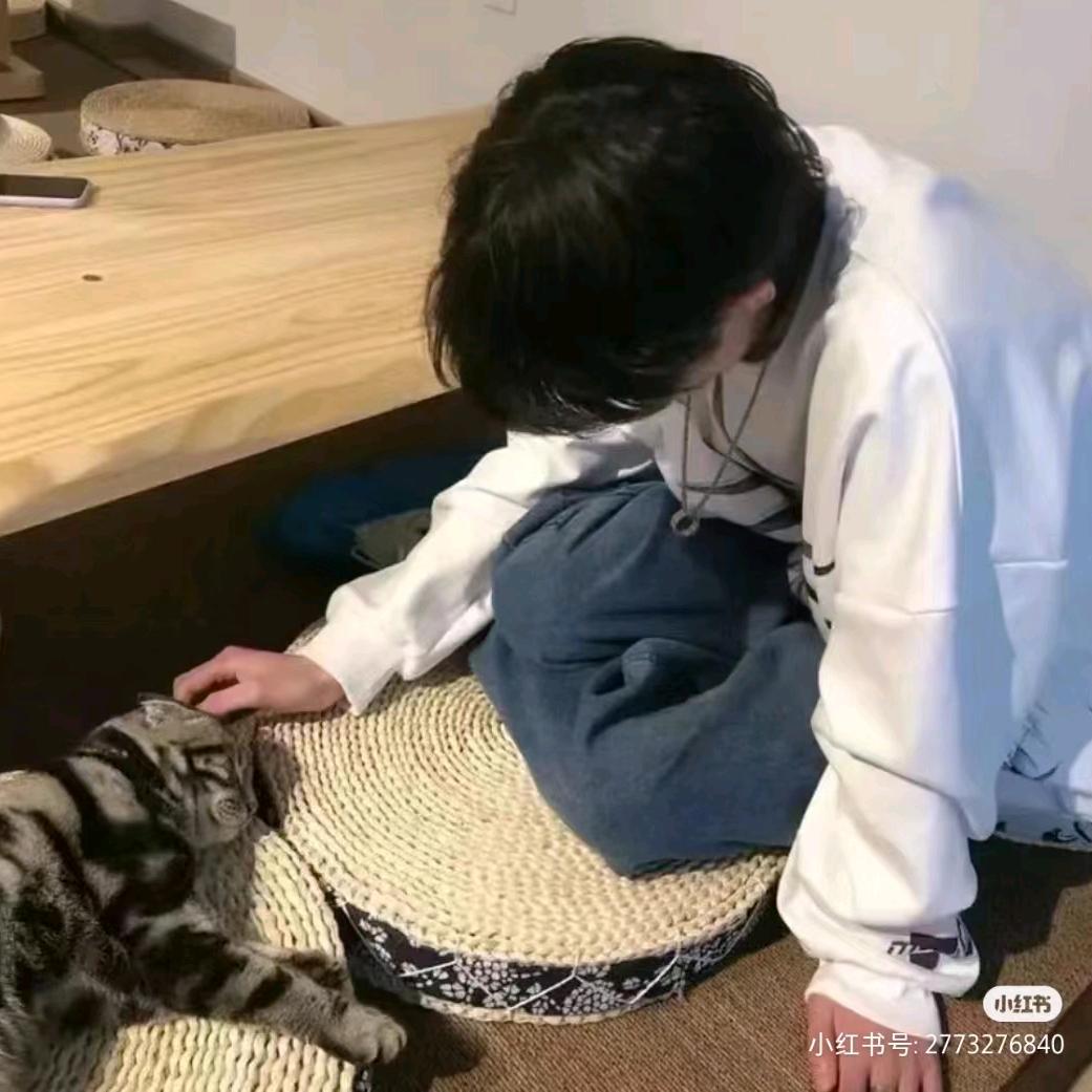 紫色的芒果
