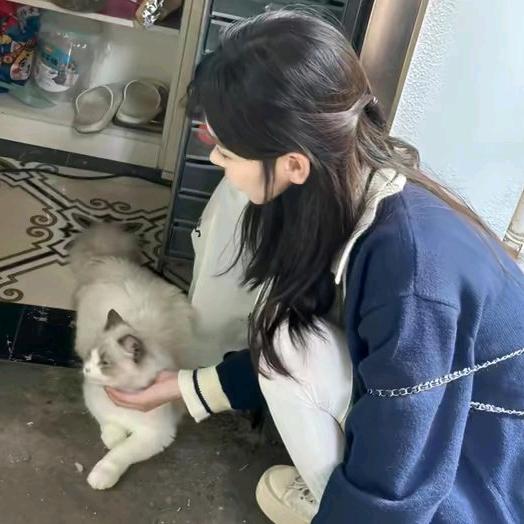 小    林