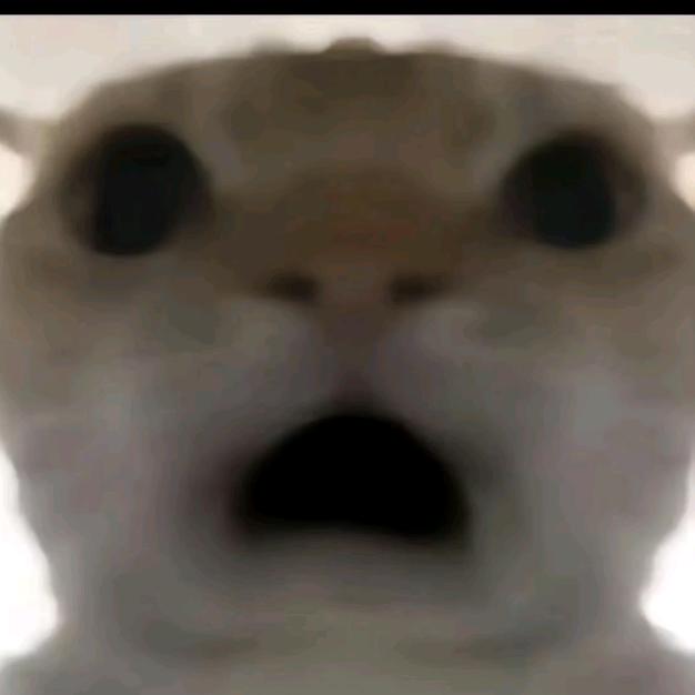森林游记