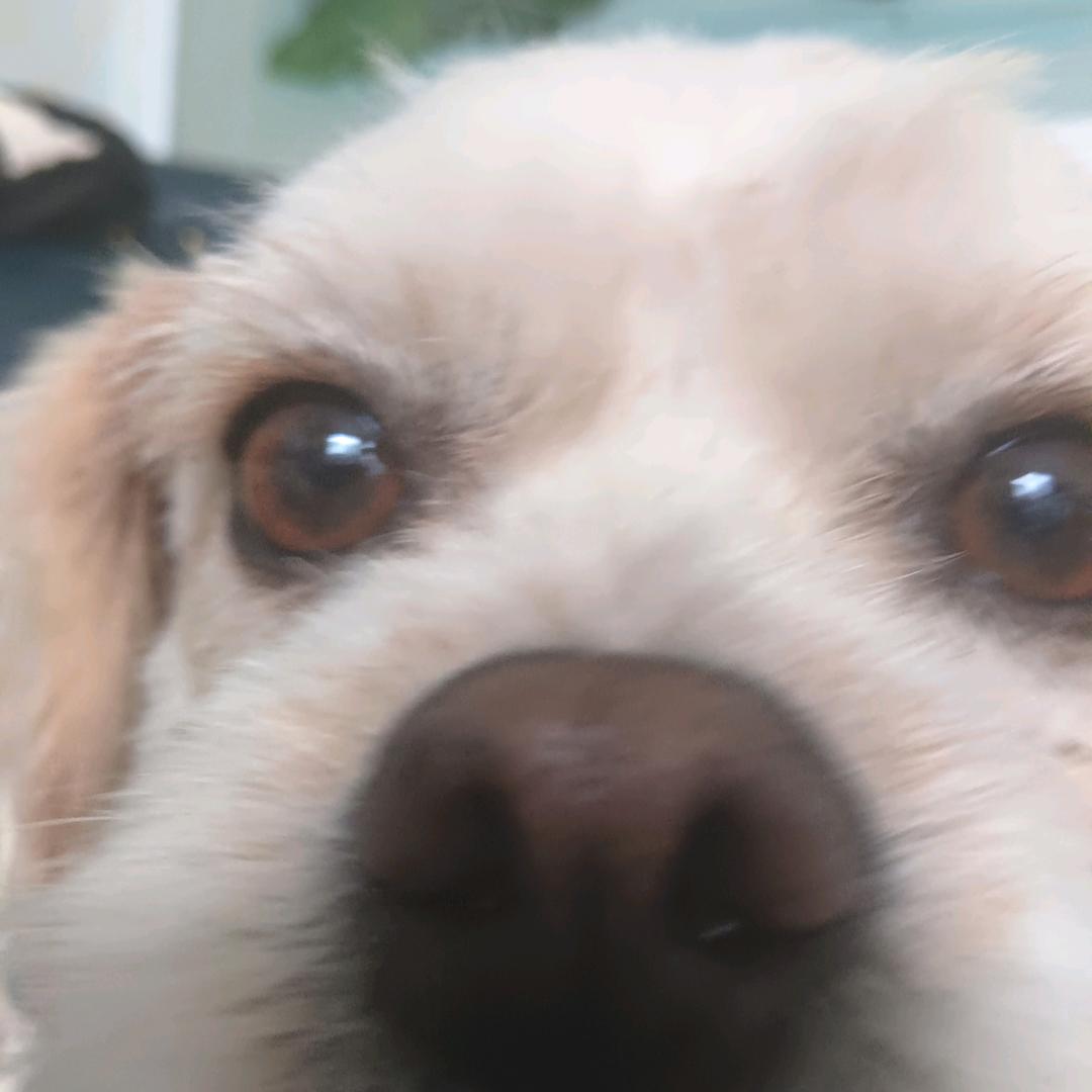 用户6193027083408