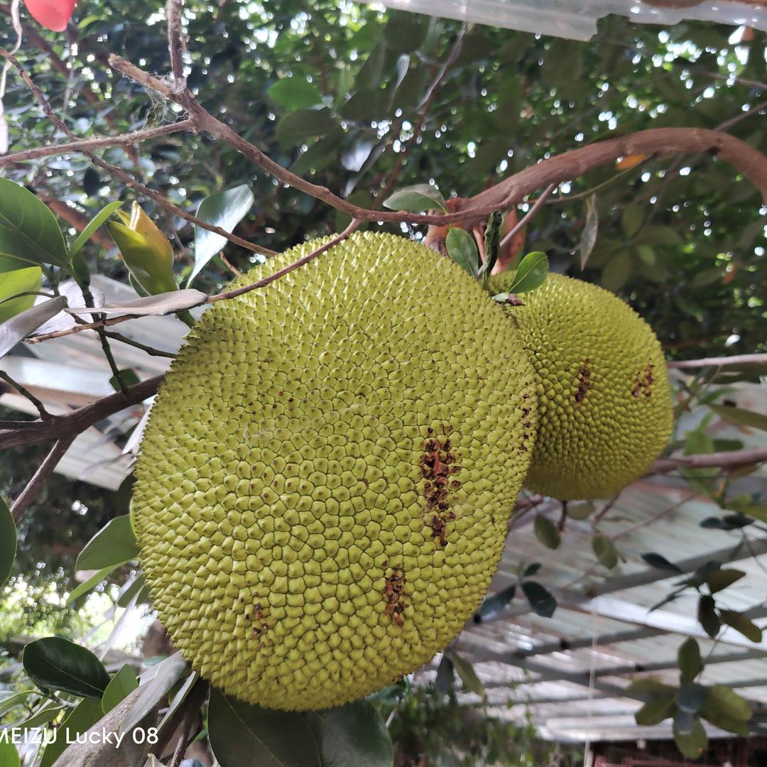 红河澜光映象文化科技有限公司