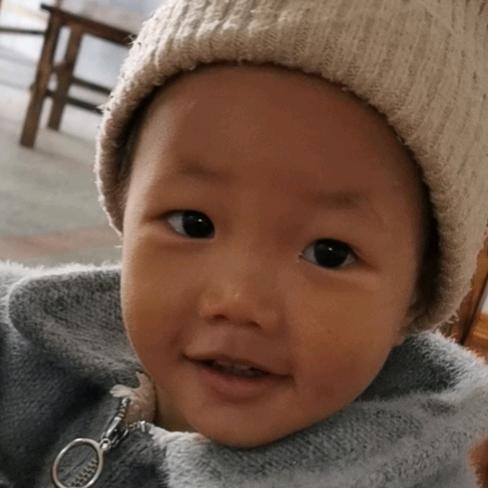 找孙子的路永不停