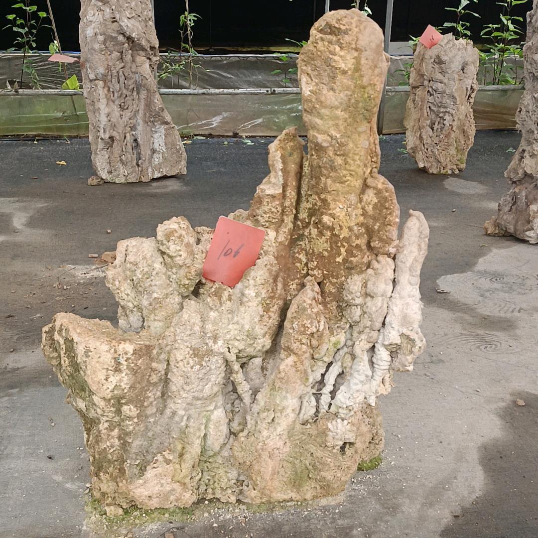 不做大哥好多年