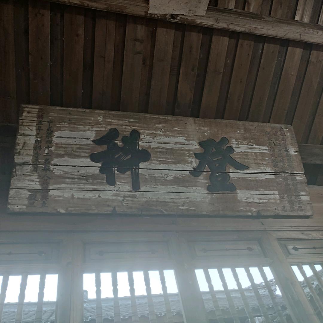 梦在无梦的夜里