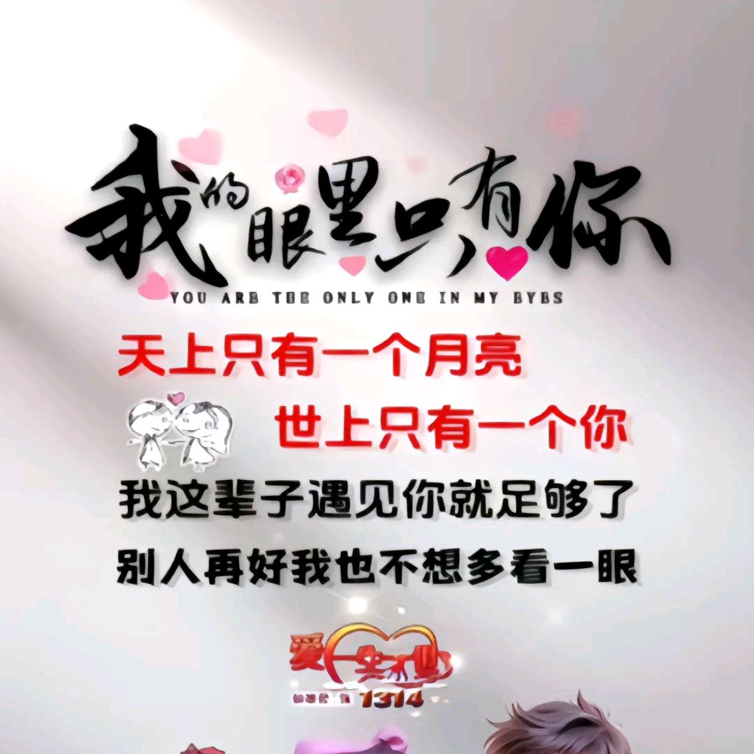 我的眼里只有你