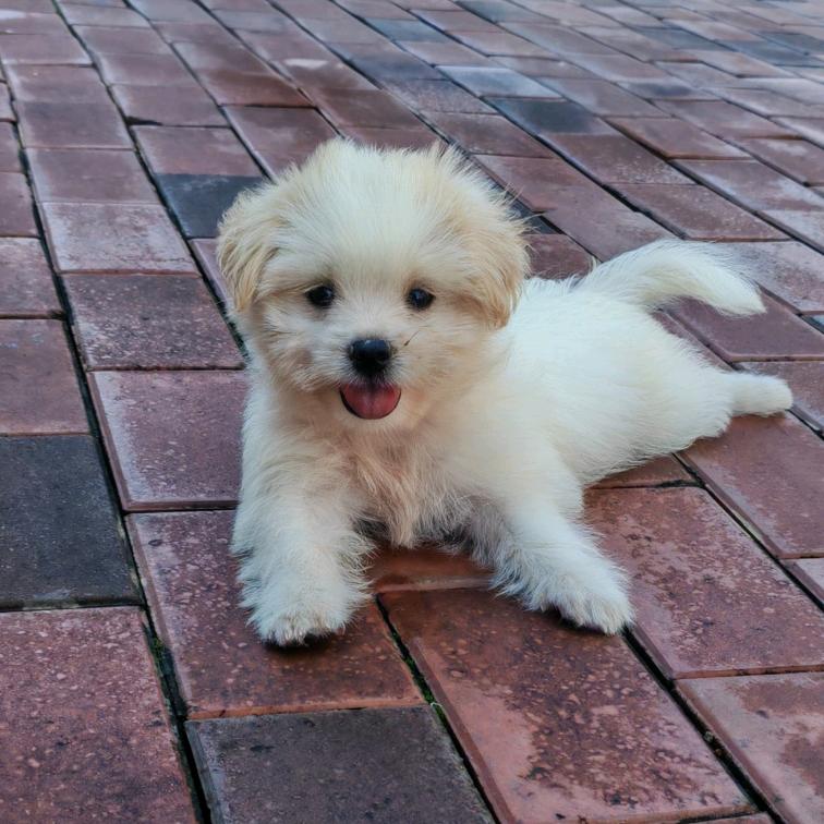 逆流而上的🐟,