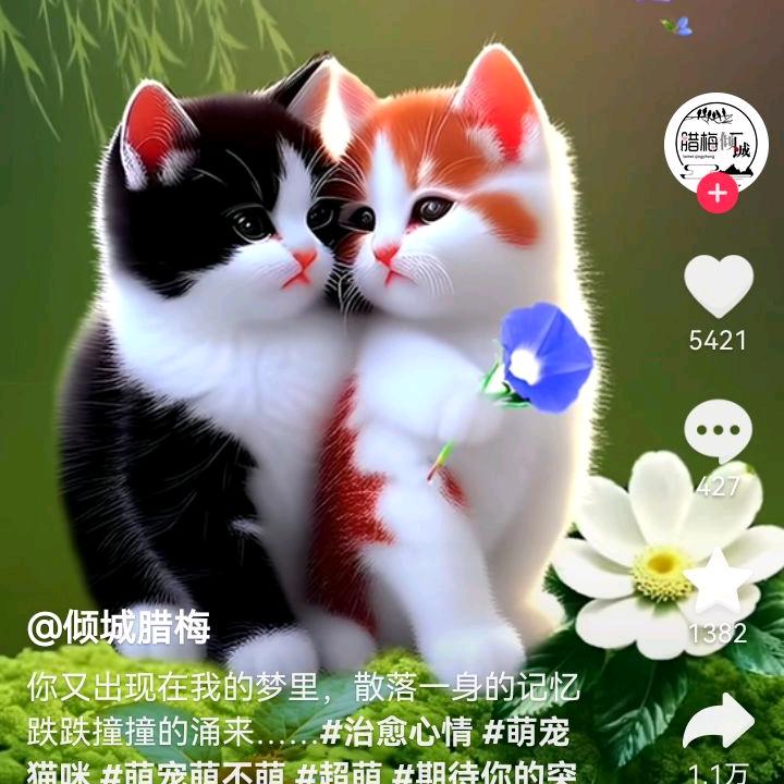 阿飞吃鸡
