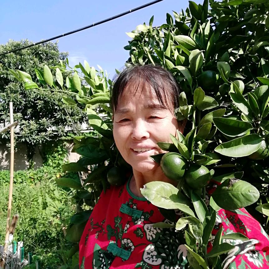 李姐不定时开播😉