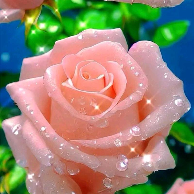 Flower.
