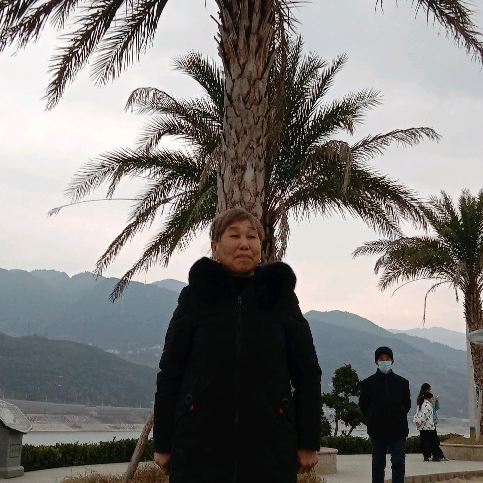 向万萍