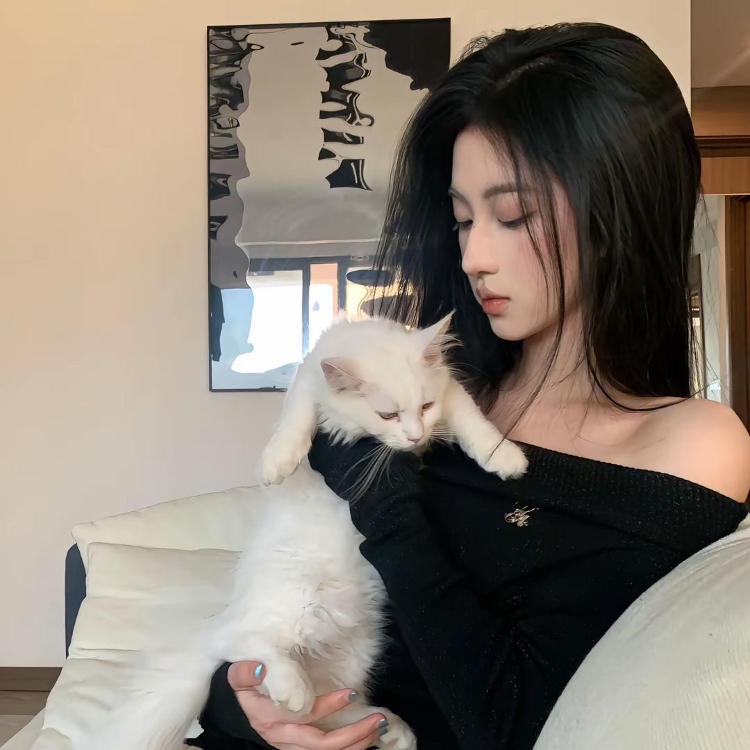 泡泡肥猫⚝