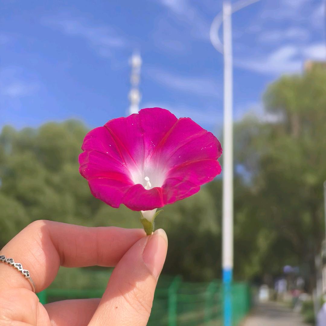 惜福…🍀🍀