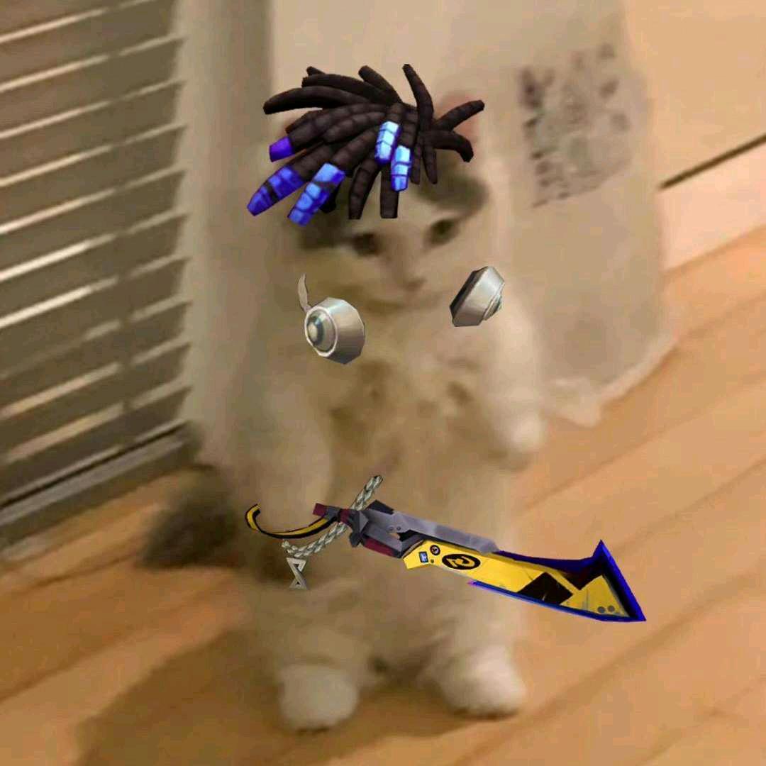 小猫老弟