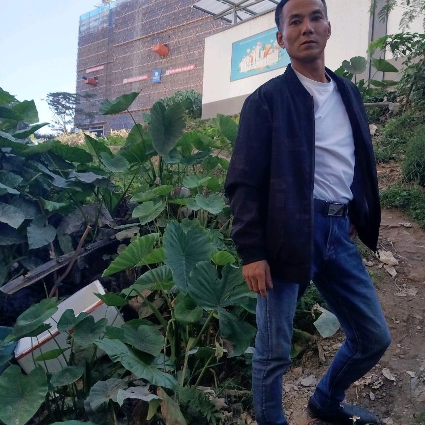 果二