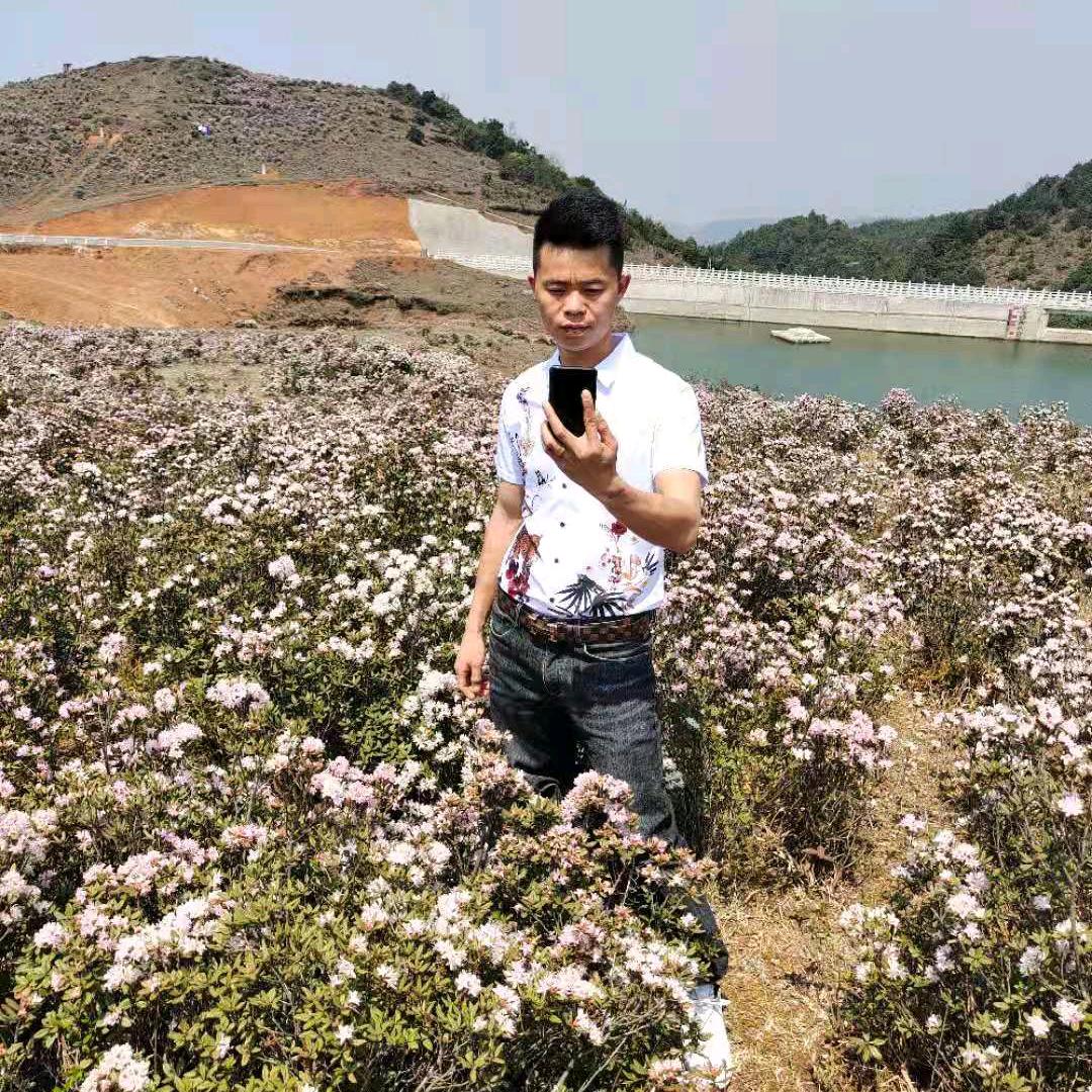 蒋不出来的心酸