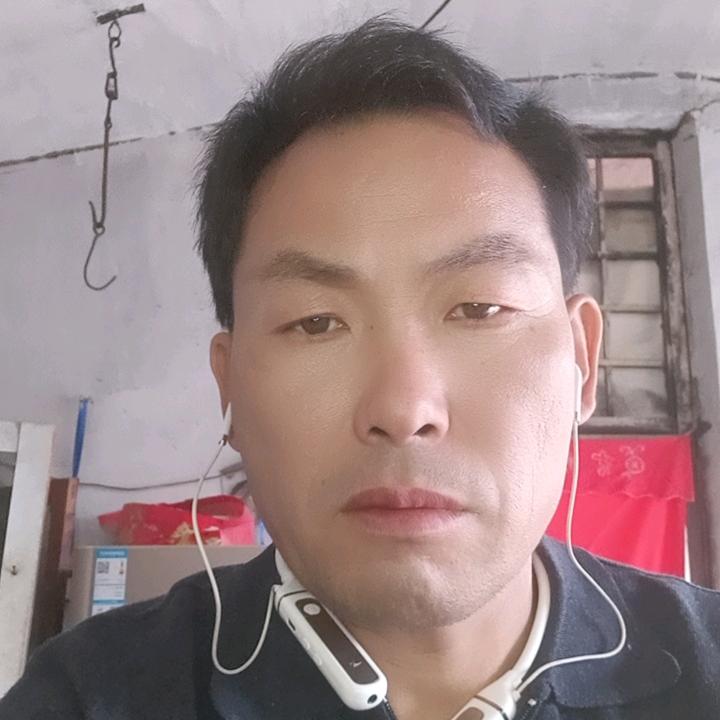 顺健