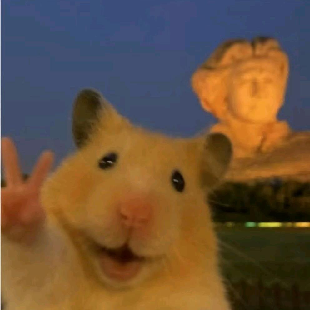 小鼠萌叽叽