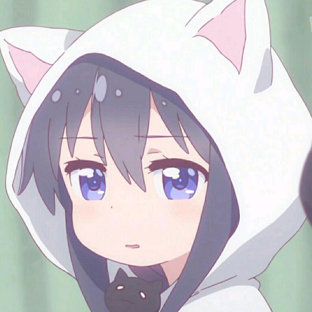 林雨.