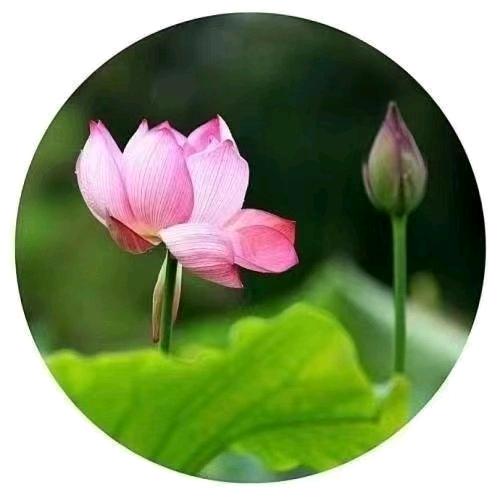 平凡中闪着光