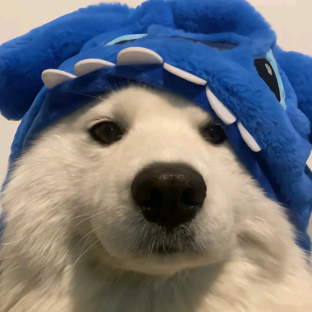 白发