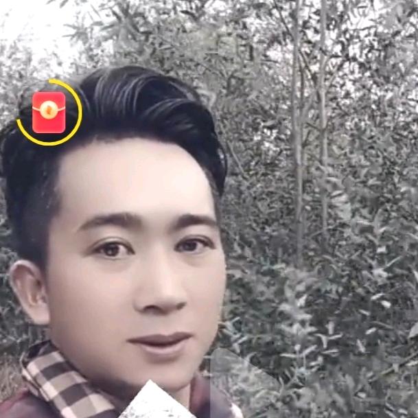 馨动花卉有限公司63934125558