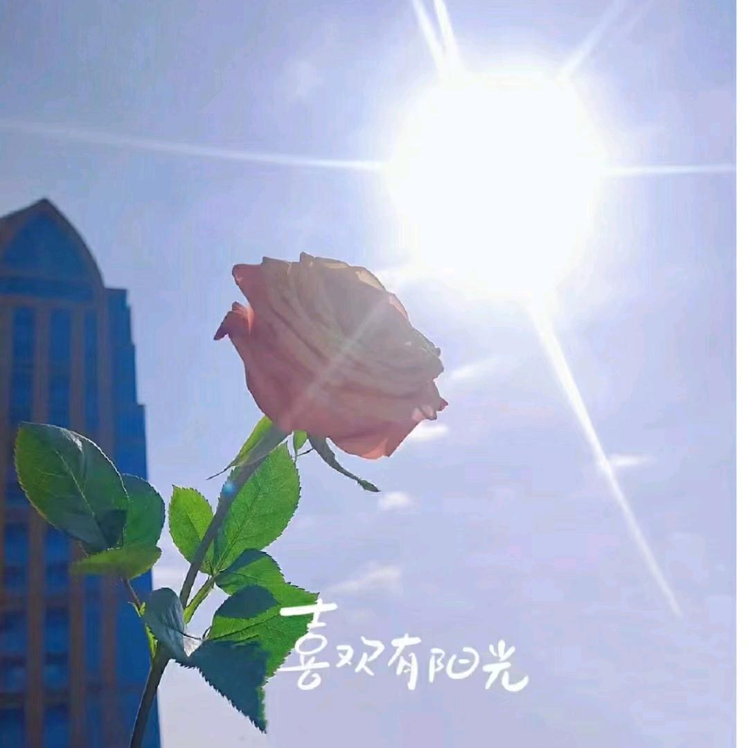 岁月极美。。。