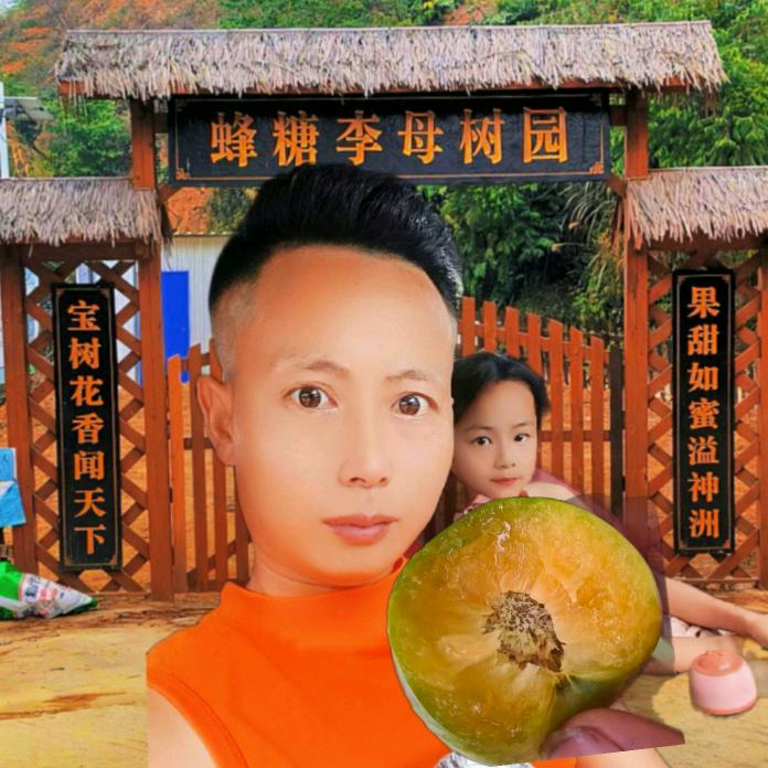 六马龙哥果业