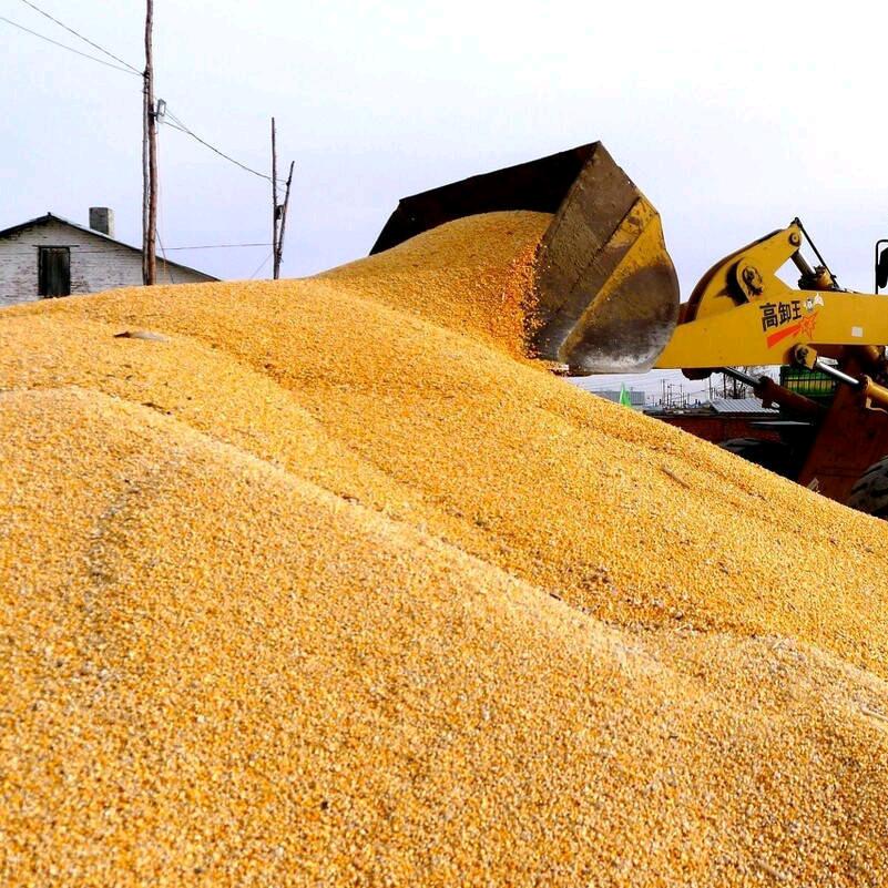 扶沟军辉粮食商行