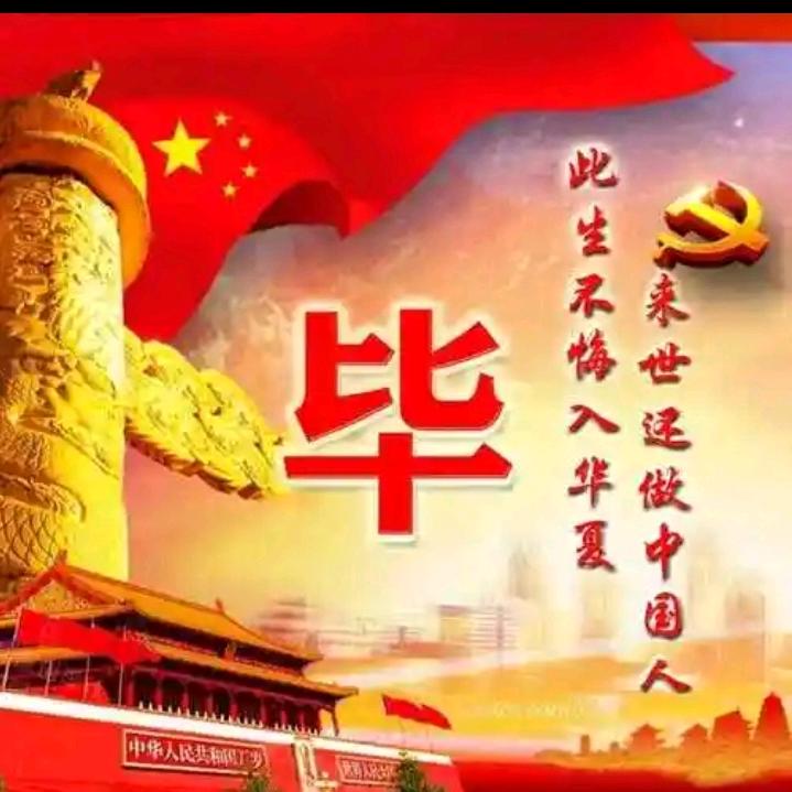 临邑临盘专业上料队哥哥