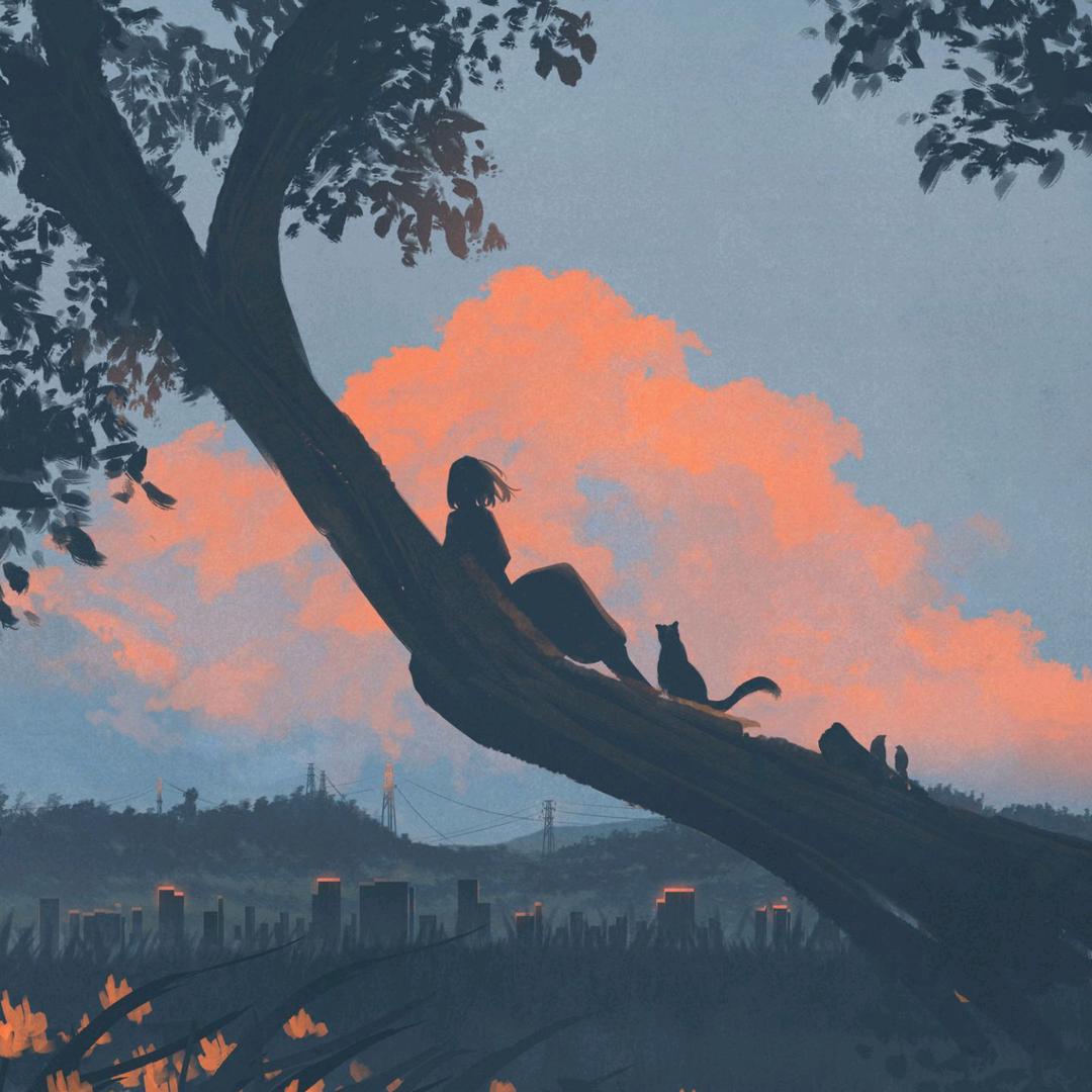 想上进但不上镜