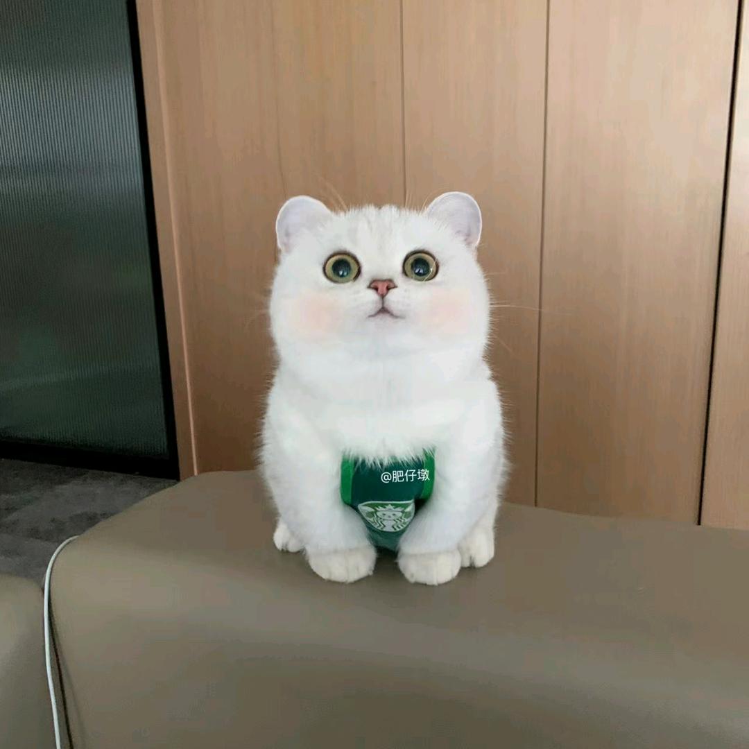 娜娜珠宝💕o>_<o