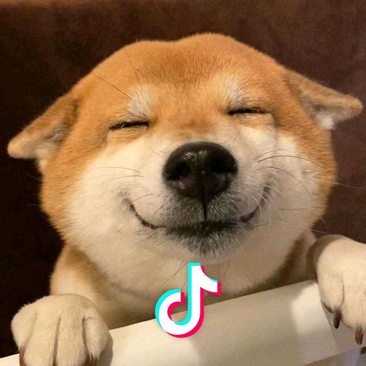 欢乐笑剧场