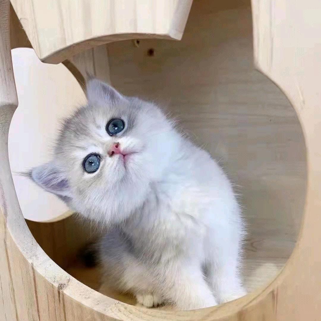 如梦