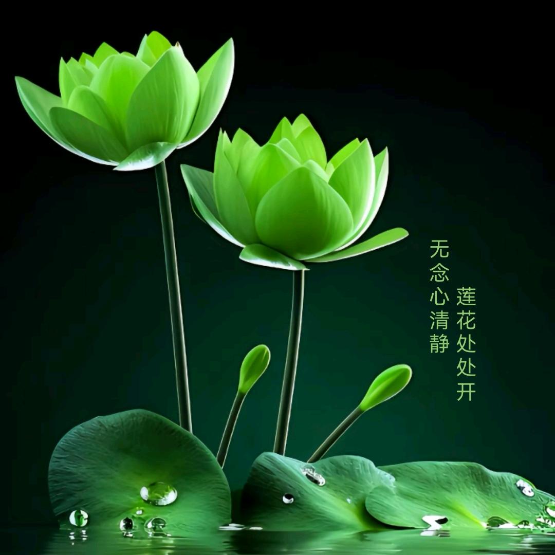清晨的周