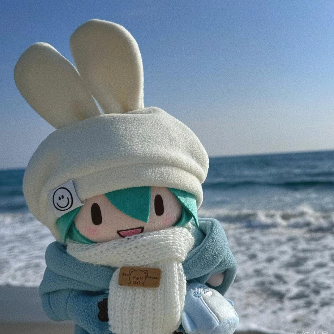 全生芝士