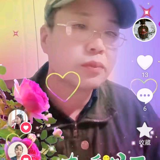 常青树