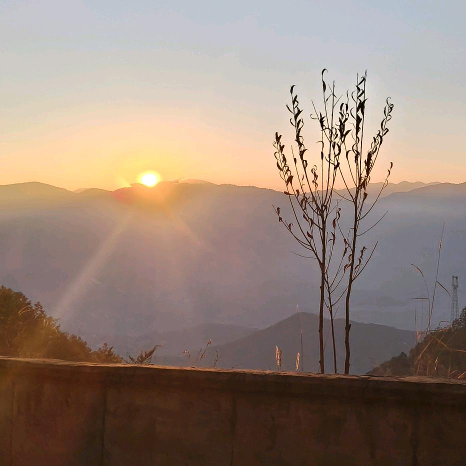 不起眼的接地线