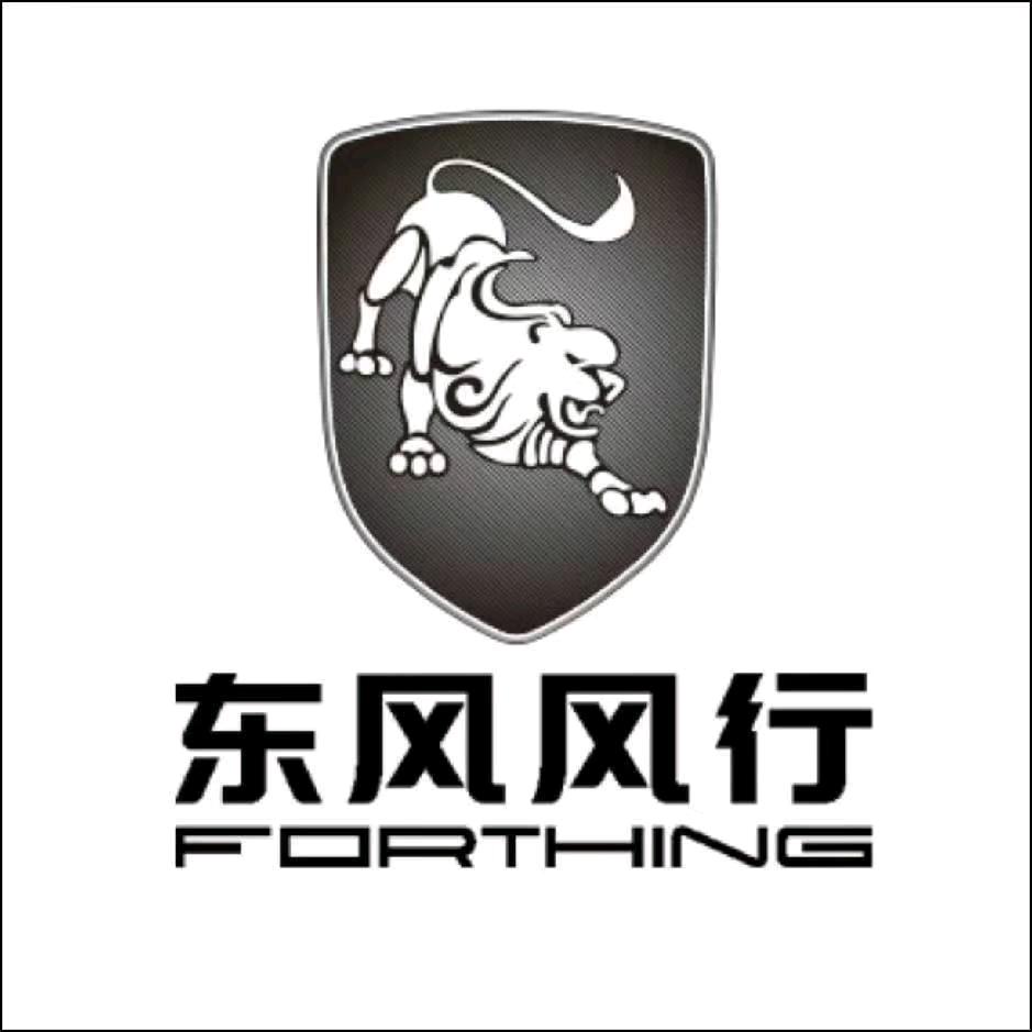 东风风行周口昌通杨耀伟