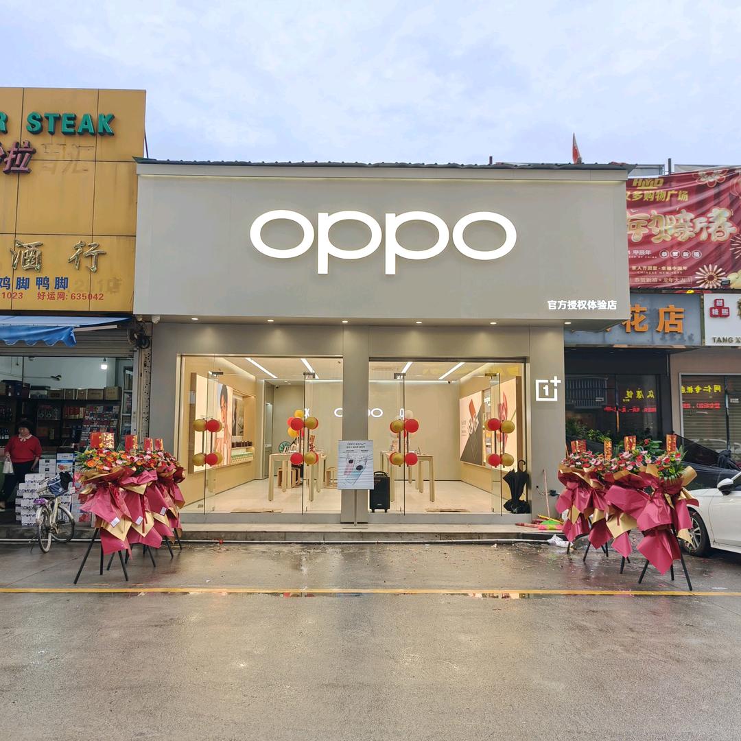 OPPO炮台竞智路店