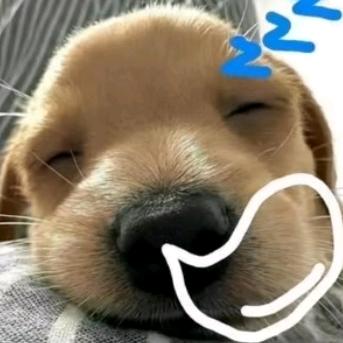 80后（已婚带俩娃）