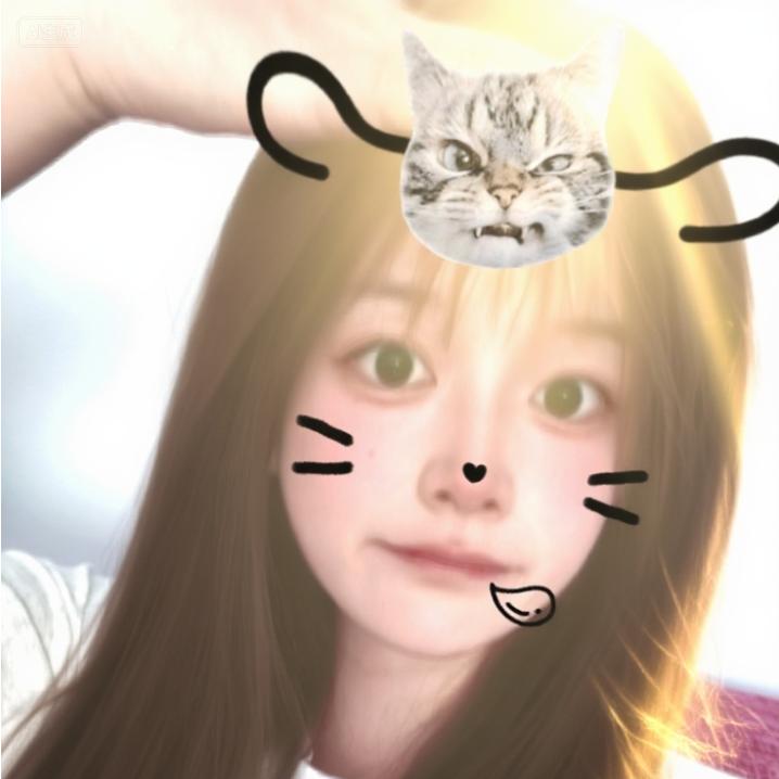 易安